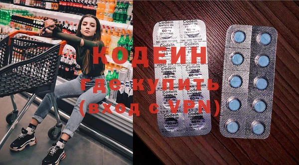 дживик Абаза