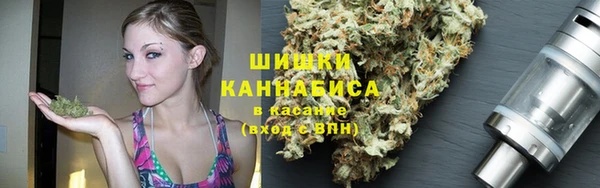 дживик Абаза