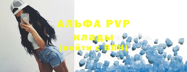 дживик Абаза
