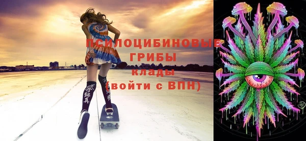 дживик Абаза