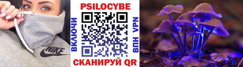 Галлюциногенные грибы Magic Shrooms Кашира